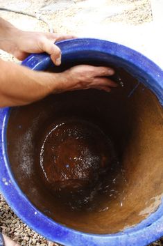 a person holding a blue bucket filled with water