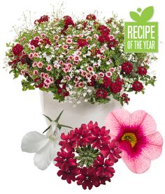 flowers in a pot with the words recipe of the year above them and below it