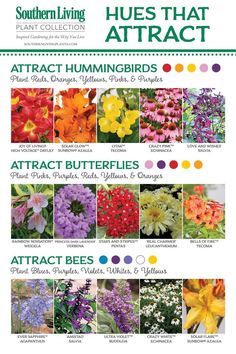 the cover of southern living's annual catalog shows different types of flowers and their names