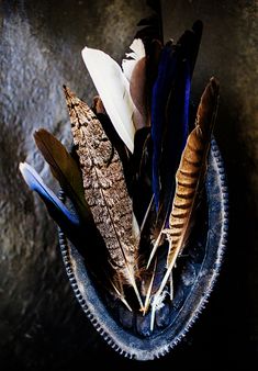 several feathers in a blue bowl on a table