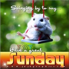 a white rat sitting on top of a swing with the words, i have a great sunday