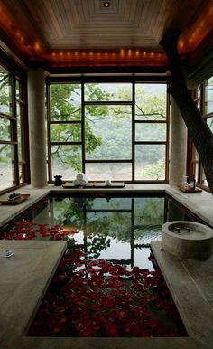 an indoor swimming pool with red flowers on the floor and large windows overlooking trees in the background