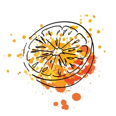 an orange painted with watercolors on a white background