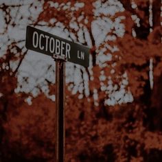 a close up of a street sign with trees in the background