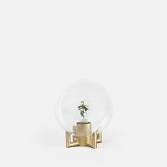 a small plant in a glass ball on a gold stand against a white wall and floor