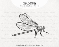 Damselfly Illustration, Bug Line Art, Dragonfly Outline, Wand Tattoos, Dragonfly Vector, Mystical Wedding, Dragonfly Svg, Dragonfly Clipart, Insect Illustration