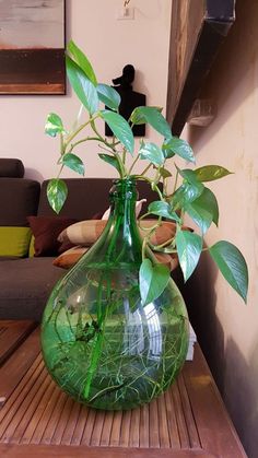 a green vase filled with plants on top of a wooden table