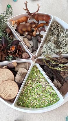 a white tray filled with different types of plants and animals on top of each other