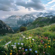 Pyrenees Mountains Splendid Nature Scenes Pyrenees Mountains, Freetime Activities, Scenic Pictures, Nostalgic Images, Beautiful Scenery Pictures, Event Decorations, Scenery Pictures, Pretty Landscapes, Nature Center