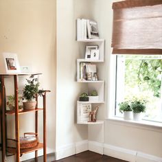 a living room filled with furniture next to a window covered in bookshelves and plants