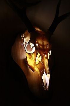 a deer's head is lit up in the dark