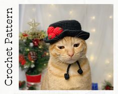 an orange cat wearing a black crocheted hat with a red heart on it