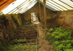 the inside of a building with dirt and plants growing on the ground next to it