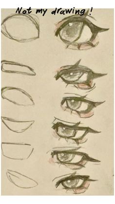 an image of different eyes drawn on paper with the words not my drawing above it