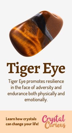 Tigereye Stone Meaning, Crystals Meanings Beginners, Stone Meanings, Brown Crystals, Eye Meaning, Gemstone Properties, Taking Action