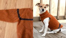 a small dog wearing a sweater sitting next to a wooden wall on a porch with wood flooring