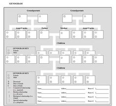 31+ Genogram Templates – Free Word, PDF, PSD Documents Download! | Free & Premium Templates Genogram Symbols, Family Genogram, Genogram Template, Play Therapy Room, Counseling Worksheets, Genealogy Forms, Clinical Social Work, Nursing School Survival, Art Therapy Projects