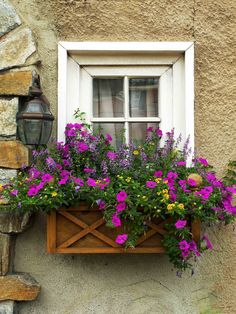 a window box filled with purple and yellow flowers