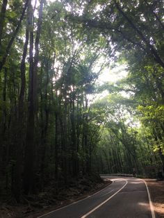 an empty road in the middle of a forest