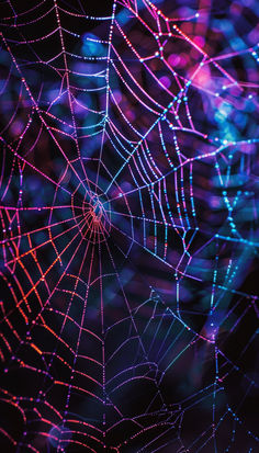 a spider web with colorful lights in the background