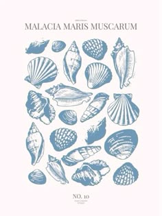 a book with shells on it and the title's page in blue ink, which reads