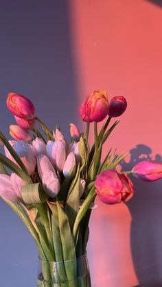 Tulips Pink Aesthetic, Pink Tulip Wallpaper, Aesthetic Tulips Wallpaper, Tulips Aesthetic Wallpaper, Tulipanes Aesthetic, Iphone Lockscreen Aesthetic, Aesthetic Flower Bouquet, Tulip Aesthetic, Flores Wallpaper