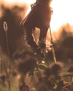 a person standing on top of a flower in the grass