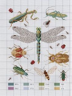 the cross stitch pattern shows different types of bugs and insects, including one dragonfly