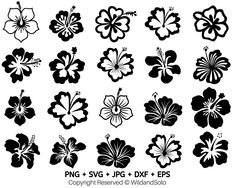 black and white hawaiian flowers clipart for use in design, scrapbooking or paper crafts