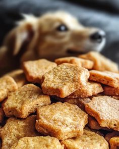 a pile of dog biscuits sitting on top of a bed