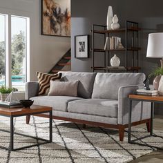 a living room scene with focus on the couch