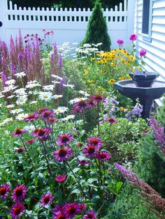 an image of a garden with flowers in it