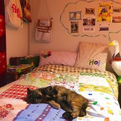 a cat laying on top of a bed in a bedroom