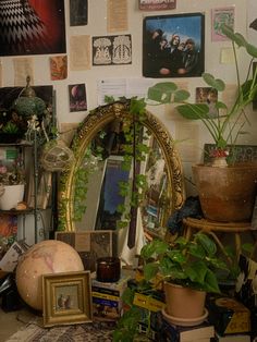 a room filled with lots of plants and pictures on the wall