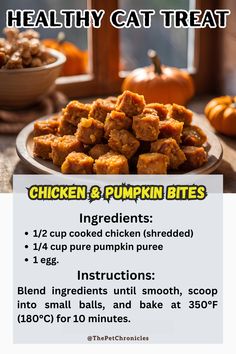 a recipe for healthy cat treats that include chicken and pumpkin bites