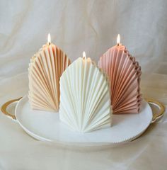 three seashell candles on a white plate