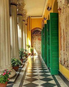 the hallway is lined with green doors and potted plants