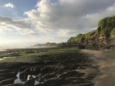 a sandy beach next to the ocean under a cloudy sky with trees and bushes on it