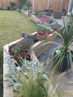 a garden filled with lots of different types of flowers