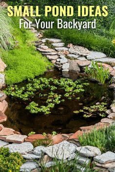 Small Pond Ideas Small Ponds With Waterfall, Container Pond Ideas, Ponds With Waterfalls, Water Fall Ideas, Koi Pond Ideas, Small Pond Ideas, Plastic Pond, Above Ground Pond, Backyard Stream