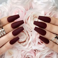 PRICES MAY VARY. 24 pcs Maroon Red Matte Coffin Press-On Nails. Our nails are extra durable and long lasting. Our Maroon Xtreme press on nails are matte yet they have a very velvety finish. Kiss goodbye the expensive nail salons and give yourself a beautiful and glam at home manicure in just a few minutes. This matte maroon red coffin nail design looks and feels as real acrylic nails. Pro tip: apply gel polish as a top coat of your press on nails and cure them. Adding this extra step will ensure Maroon Nails, Matte Nails Design, Coffin Press On Nails, Environmental Friendly, Coffin Nails Designs, Nail Glue, روتين العناية بالبشرة, Matte Nails, Nail Accessories