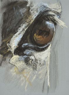 an animal's eye is shown in pastel and pencil on paper, as well as the background