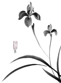 an ink painting of two orchids with chinese writing on the bottom and below it