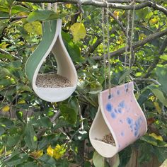 two bird feeders hanging from a tree branch