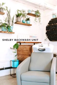 a chair in a room with plants on the wall and shelves above it that says shelby backwash unit