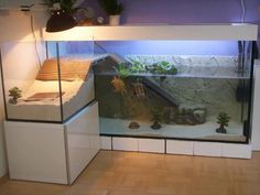 an aquarium with plants and rocks in it