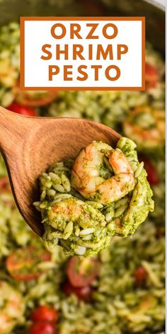 Wood spoon full of pesto shrimp orzo pasta over a pot of orzo. Shrimp Pesto Orzo, Pesto Orzo Recipes, Pesto Rice Recipes, Pesto Pasta With Shrimp, Orzo Pesto, Pesto Shrimp Pasta, Pesto Rice, Pesto Orzo, Shrimp Pesto Pasta