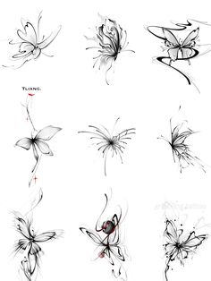 some different types of butterflies on a white background with black and red ink, one is drawn