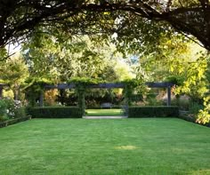 a lush green lawn surrounded by trees and bushes with an arch in the middle that leads to a pergolated area