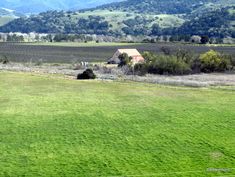 a large field with a house in the distance